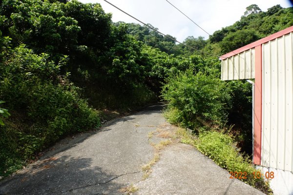 臺南 東山 龜子山1873349