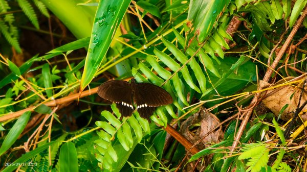 基隆 #潮境公園 #正濱漁港 #容軒步道 9/272895507