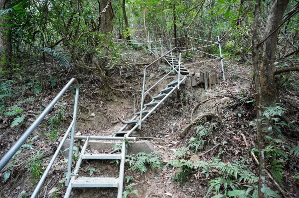 台中 和平 東卯山2674488