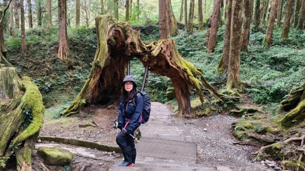 神阿縱走~台灣難抵極~大塔山2971469