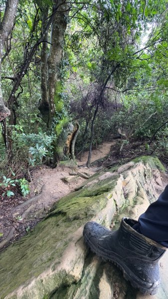 大雨後🙄2845405