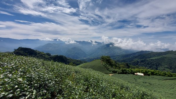 雲嘉九連峰1438956