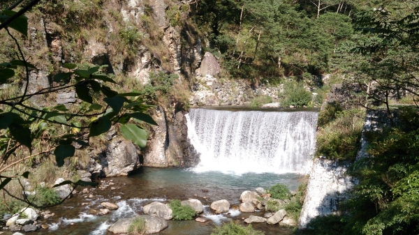 104-10-17 八仙山國家森林遊樂區22354