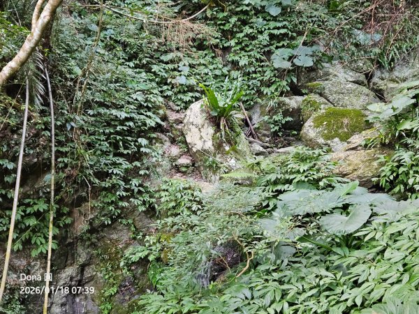 南插天山.魯培山.上宇內山(南插北峰)2989745