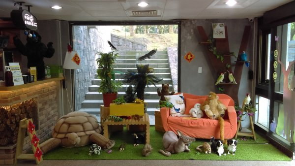 【陽明山東西大縱走活動】完成連峰紀念狀915463