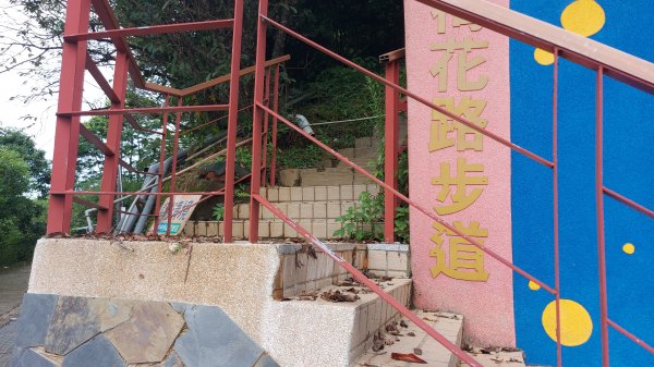 雲嘉九連峰1438966