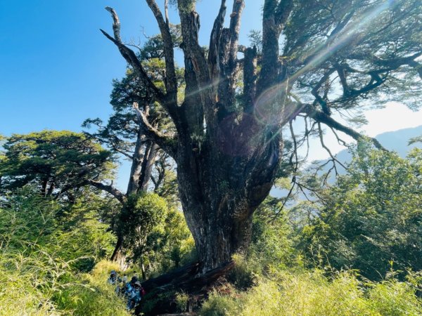 1140404二訪～塔關山2754062