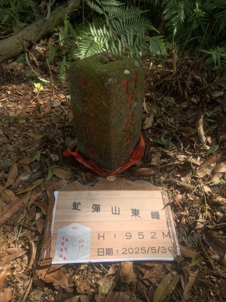 20250531屏東虻彈山東峰2803170