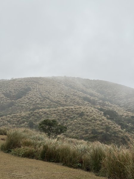 陽明山東西大縱走-東段2984541