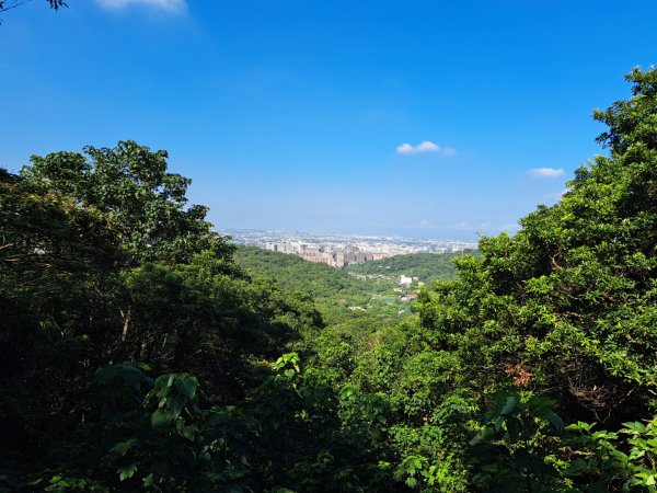 桃園羊稠森林，虎頭山，福山巖，石門山步道3128076