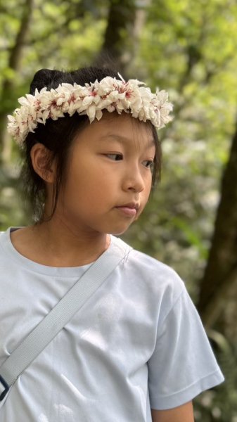 20250504大艽芎古道2837819