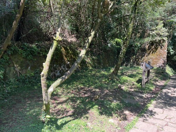 台北 陽明山 絹絲瀑布-擎天崗2722193