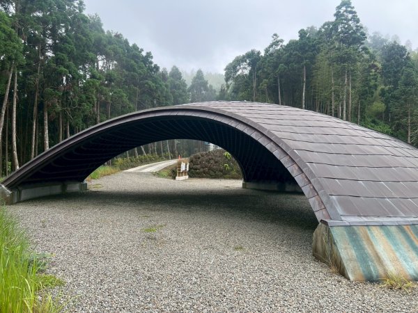 嵐山再古坑。五元兩角 木馬古道2806199