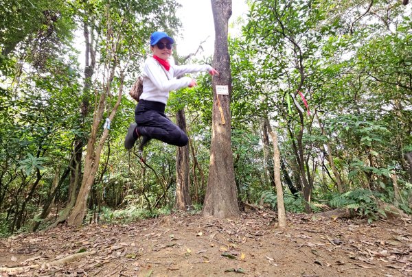 東勢大崙、東勢坑山、觀音湖山O走2986249