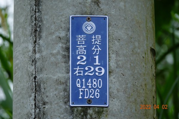 臺南 關廟 大潭山1663570