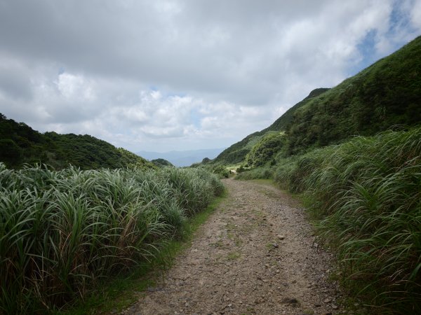 [淡蘭古道] 2026_0531 北路第一段_燦光寮古道(中)-陡坡3070880