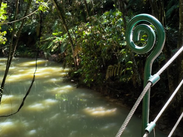 2024-08-22 澀水森林步道2578434