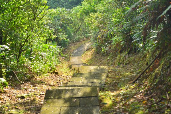 瑞芳三山 (龍潭山、瑞芳山、秀崎山)1726497