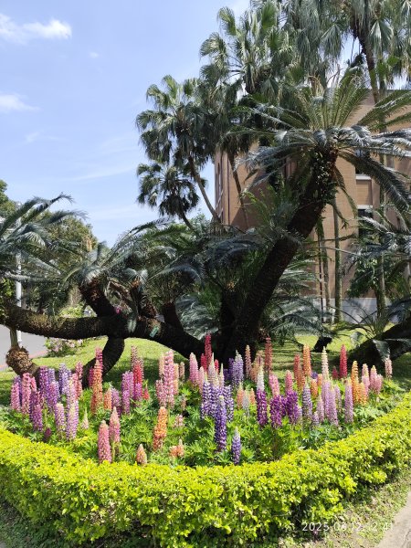 內湖運動中心→勞工保險局→南門市場→台灣電力公司→國立臺灣大學2734273