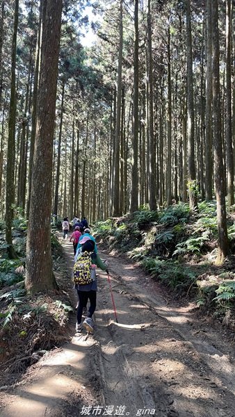 【新竹。五峰】  悠遊山林。 小百岳集起來。 編號31小百岳~鵝公髻山步道x山上人家1652455