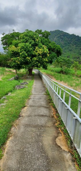 2023-06-23萬人山、六十石山步道群、羅山村竹林步道2193617