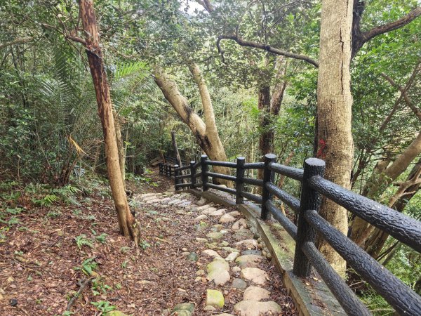[皮皮獅動物派對-03/10] 2026_0822 石光古道(老虎山步道)3120803