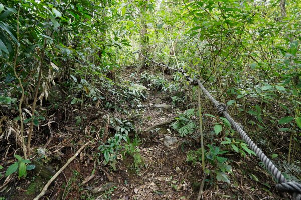 新北 烏來 大刀山、拉樸山、阿玉溪山2704954