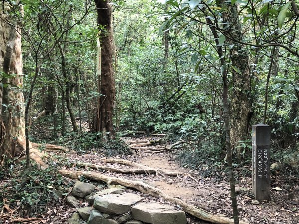 台灣小百岳No.080 里龍山908207