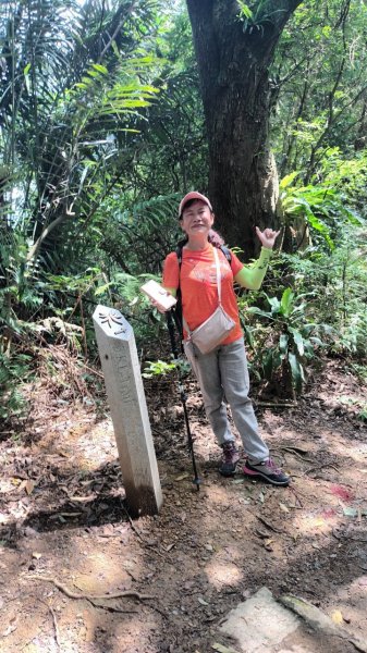 【臺北大縱走 6】象山公園→妙高台→拇指山頂峰登山口→南港山南峰→南港山→九五峰→中華科技大學2183700