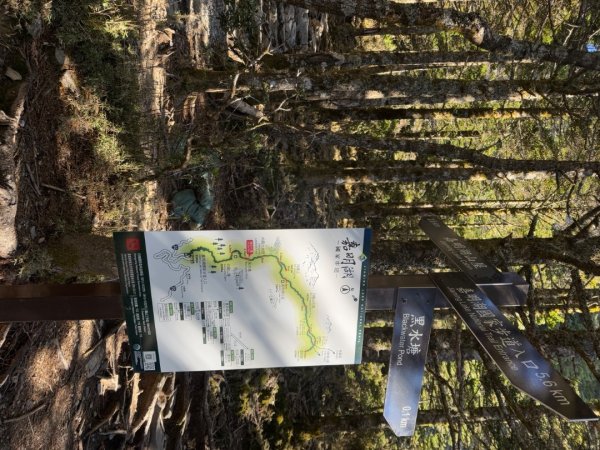 20250104-05 向陽縱走魔保來溪頭山出關山嶺山2683507