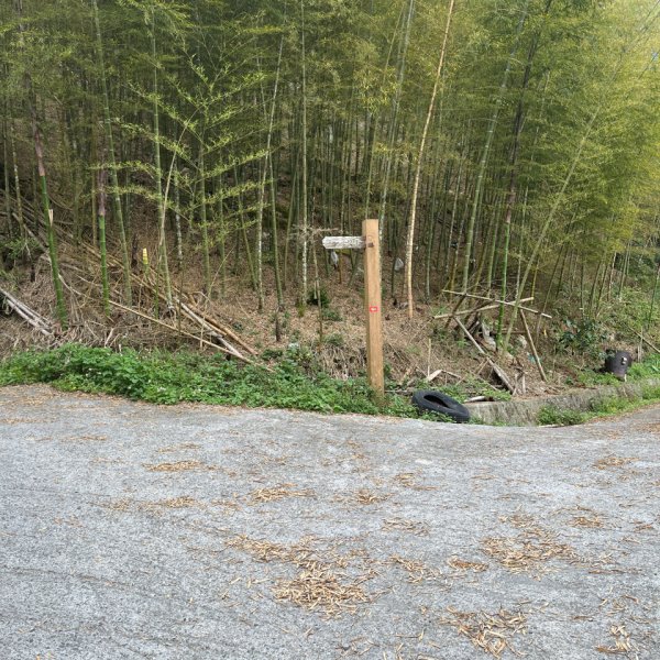 2023_0429_挑筍古道2138253