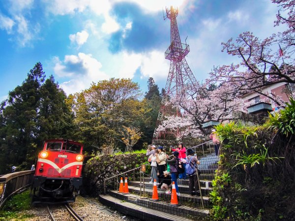 2026-03-28 阿里山