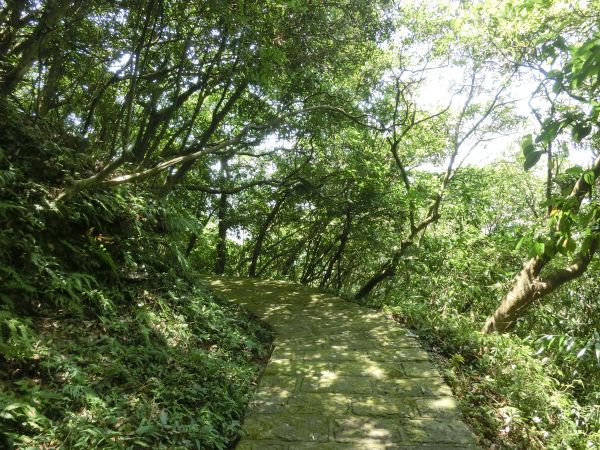 四大名山步道．靈鷲山155006