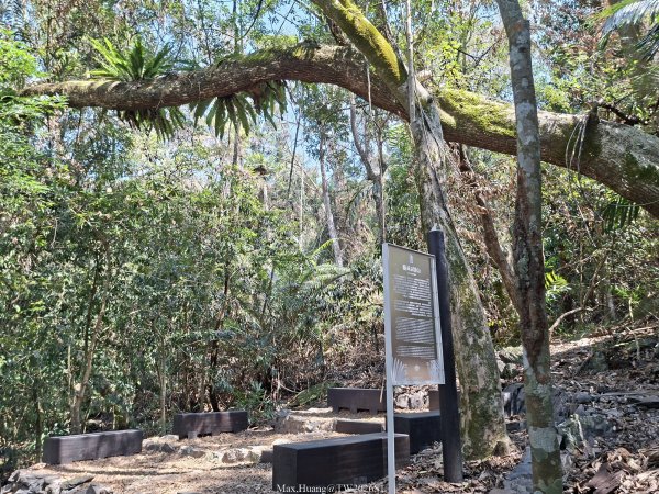 《台中》巨人之手｜雪山坑環線步道202603223021462