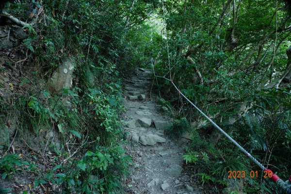 屏東 獅子鄉 里龍山(里隆山、里瀧山、鯉龍山)、下里龍山2018510