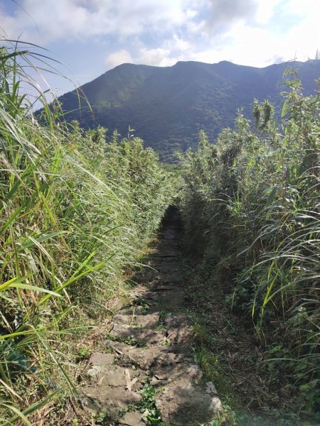 大屯主峰與連峰2218771