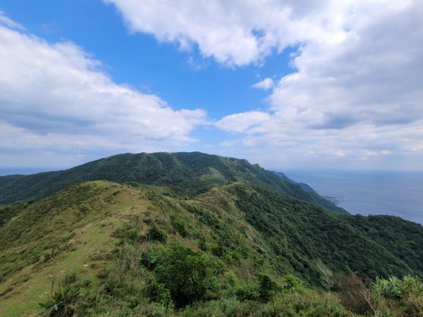 雪山尾稜＋桃源谷(草嶺線＋大溪線)＋草嶺古道♡雪尾草8字縱走♡1540620