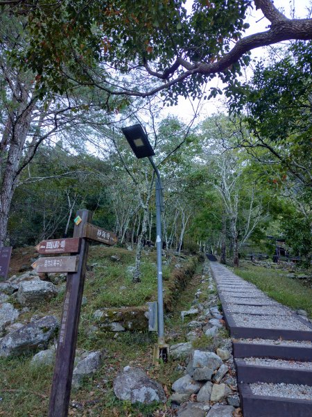 佳保台山-八仙山2910243