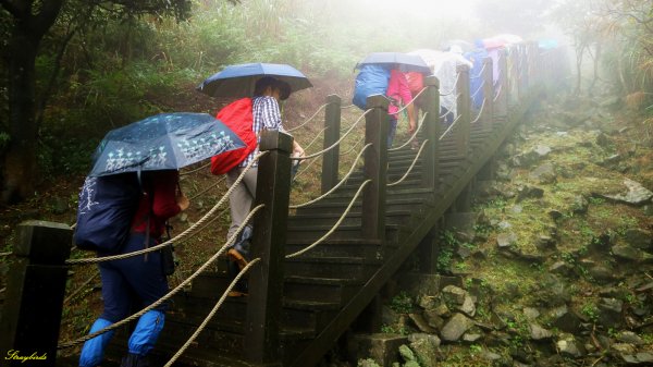 淡蘭古道深度旅遊~尋找古道上珍貴歷史遺跡754479