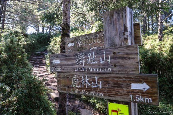 [塔塔加連峰]麟趾山-鹿林山-鹿林前山1797134