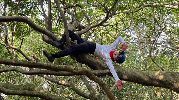 東勢大崙、東勢坑山、觀音湖山O走2986370