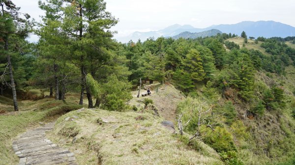 20180420鹿林山 麟趾山1495686