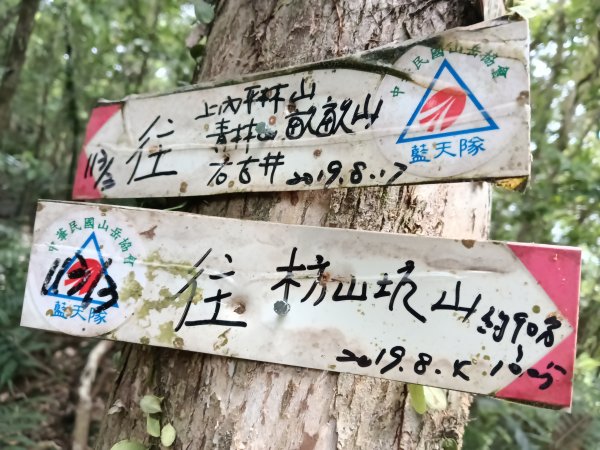 平溪區過火坪古道+枋山坑山+中坑頭鞍部+枋山坑古道+火燒寮古道O型2878606
