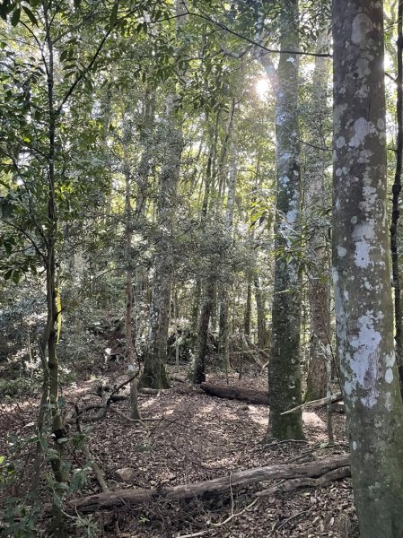 加里山隘勇線2913111