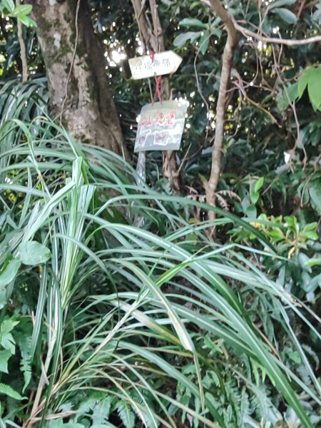 微笑山線：【鳶山山系】鳶山彩壁段2855443