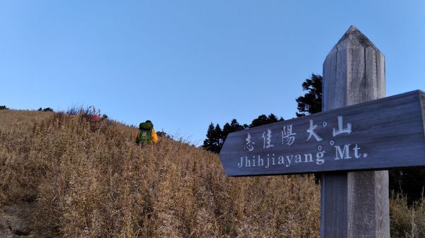 志佳陽大山295649