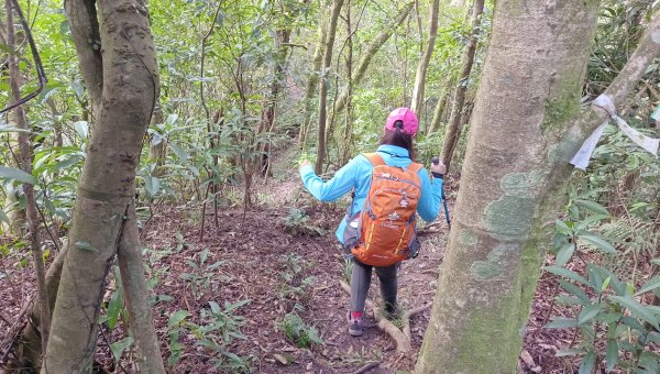 (姨婆趴趴走)第三十八集:攀登新北石碇小格頭獅頭山，探訪翡翠水庫的鱷魚島、千島湖、土虱頭景觀2416801