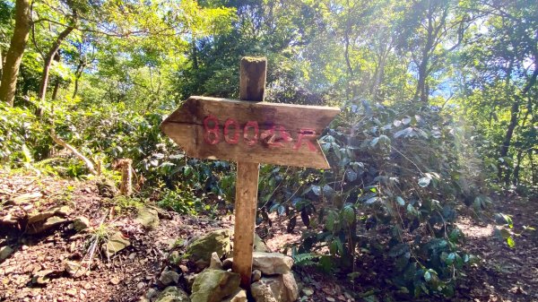 霧台-德文山2801895