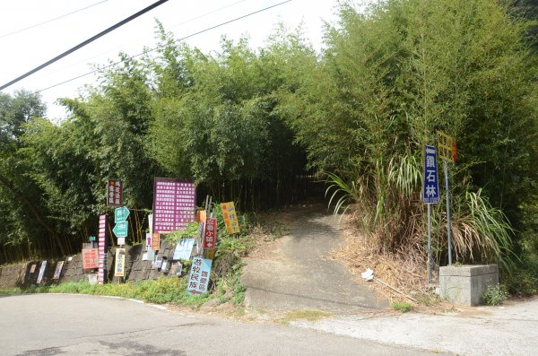 鷂婆山 & 下太平山1150556