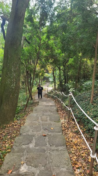 2026-0116 大屯三山_貴子坑_北投2984784